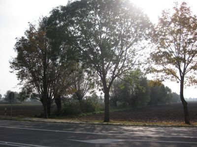 Działka inna na sprzedaż Kazimierzowo, Kazimierzowo 21 172m2 Foto 3