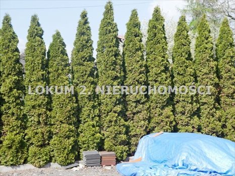 Lokal użytkowy na sprzedaż Jastrzębie-Zdrój, Moszczenica, Moszczenica 200m2 Foto 12