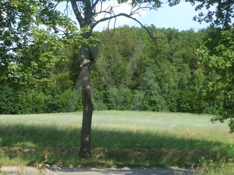 Działka budowlana na sprzedaż Zelewo, Różana 1 020m2 Foto 5