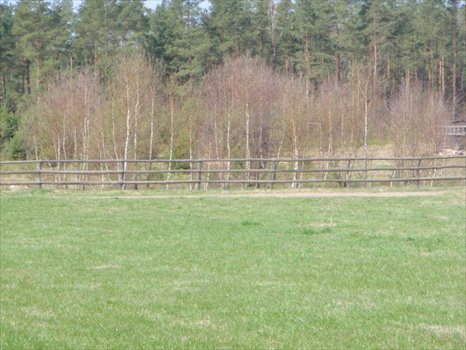 Działka budowlana na sprzedaż Dąbrówka, Leśna 1 583m2 Foto 9