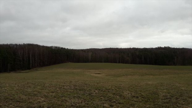 Działka budowlana na sprzedaż Sucha Huta 3 003m2 Foto 1