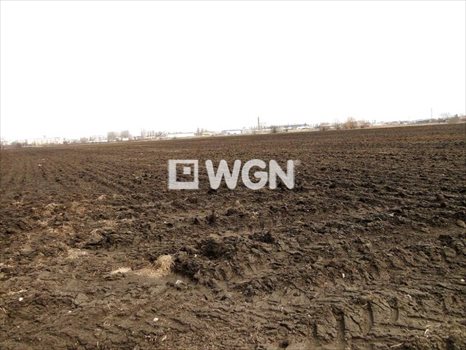 Działka inwestycyjna na sprzedaż Inowrocław, Inowrocław 5 000m2 Foto 3