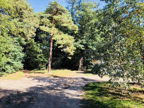 Działka budowlana na sprzedaż Otwock, Fryderyka Chopina 1 700m2 Foto 3