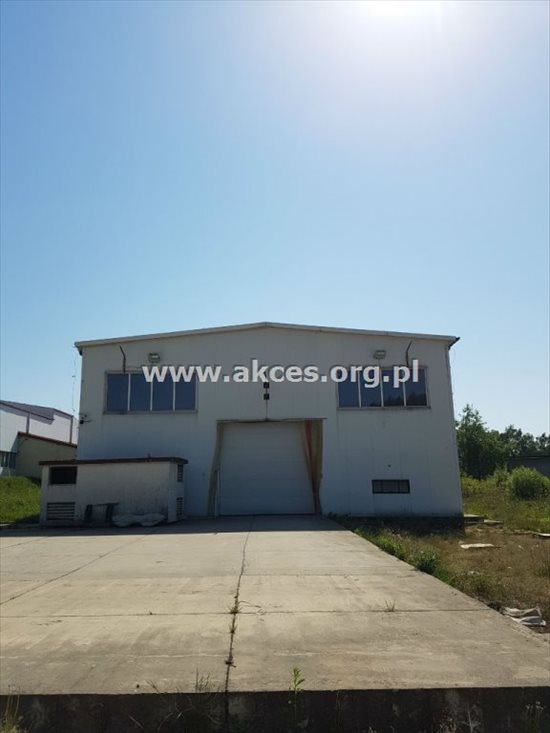 Lokal użytkowy na wynajem Tarczyn 1 168m2 Foto 2