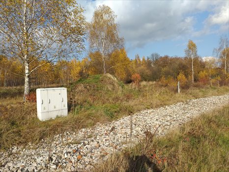Działka budowlana na sprzedaż Pilchowice, ul. Wielopole 775m2 Foto 1