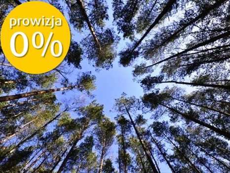 Działka budowlana na sprzedaż Sulistrowice 1 000m2 Foto 12