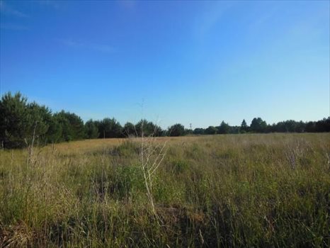 Działka budowlana na sprzedaż Gdańsk, Osowa, Myśliborska 563m2 Foto 2