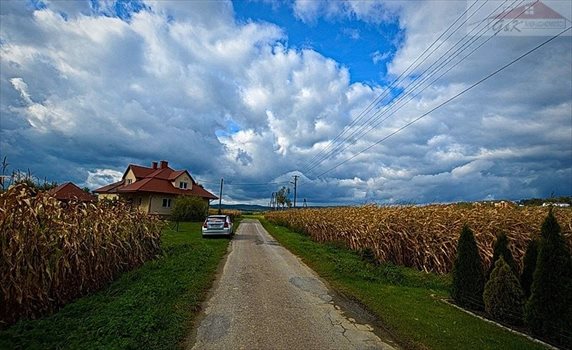 Działka budowlana na sprzedaż Ostrów 2 700m2 Foto 6