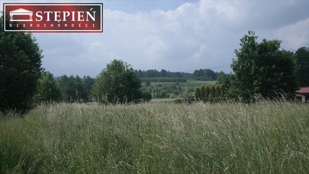 Działka budowlana na sprzedaż Jelenia Góra, Cieplice 2 035m2 Foto 2
