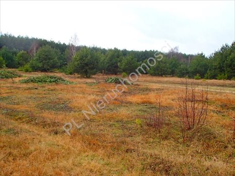Działka rolna na sprzedaż Budy Przytockie 2 700m2 Foto 12