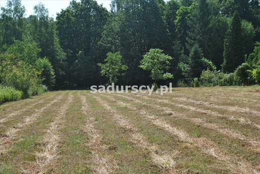 Działka budowlana na sprzedaż Kraków, Swoszowice, Soboniowice, Heleny Chanieckiej 2 860m2 Foto 6