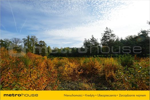 Działka inna na sprzedaż Bechcice, Lutomiersk 1 000m2 Foto 3