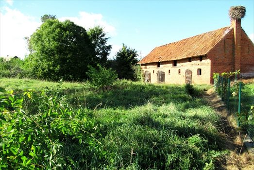 Działka siedliskowa na sprzedaż Krokocie 3 591m2 Foto 2