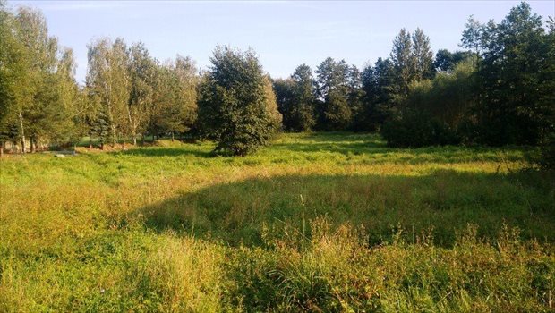 Działka budowlana na sprzedaż Zgłobień 5 100m2 Foto 2