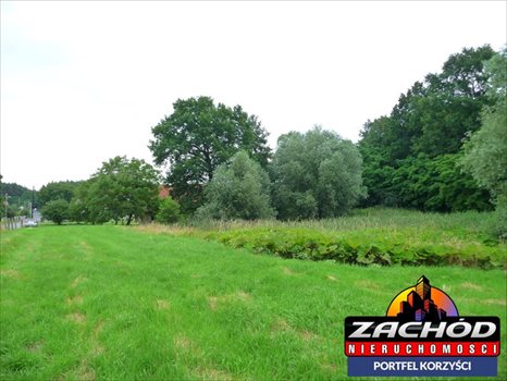 Działka budowlana na sprzedaż Przytok 22 600m2 Foto 2
