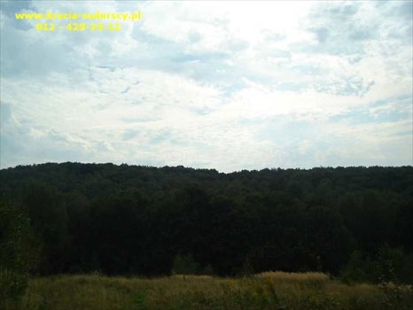 Działka inna na sprzedaż Konary 4 600m2 Foto 5