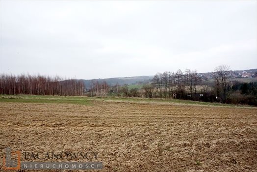 Działka rolna na sprzedaż Januszowice 10 200m2 Foto 5
