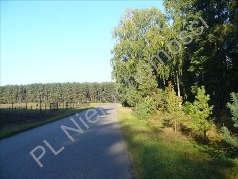 Działka budowlana na sprzedaż Przypki 20 000m2 Foto 2