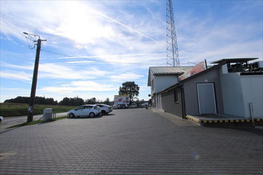 Lokal użytkowy na sprzedaż Mały Płock, Jana Kochanowskiego 1 200m2 Foto 11