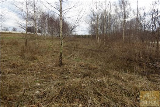 Działka inna na sprzedaż Kabikiejmy Dolne, Wieś, Kabikiejmy Dolne 5 000m2 Foto 7