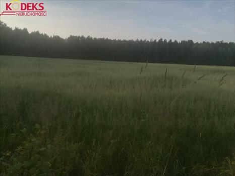Działka rolna na sprzedaż Strzegocin 34 368m2 Foto 2
