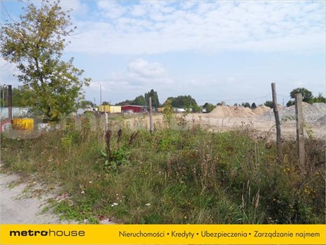 Działka rolna na sprzedaż Chełm, Chełm 12 888m2 Foto 4