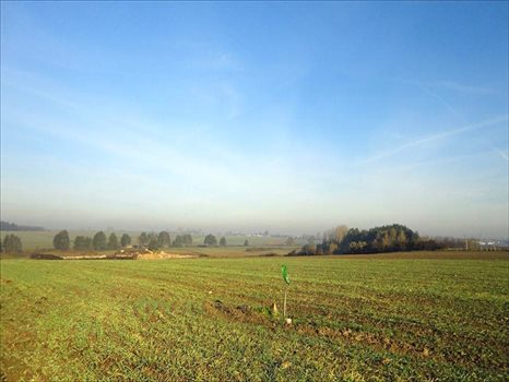 Działka inna na sprzedaż Golęczewo, Suchy Las 16 695m2 Foto 7