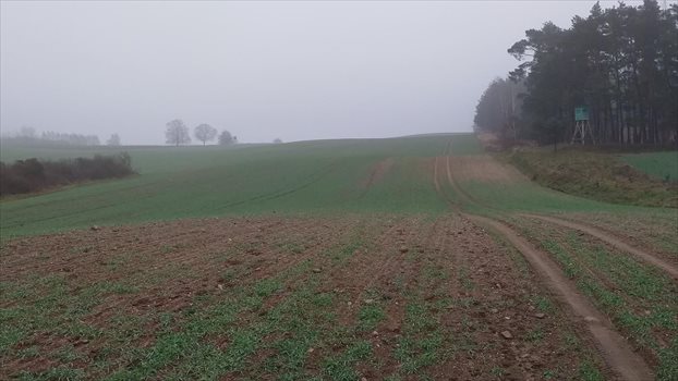 Działka gospodarstwo rolne na sprzedaż Bartąg 7 000 000m2 Foto 2