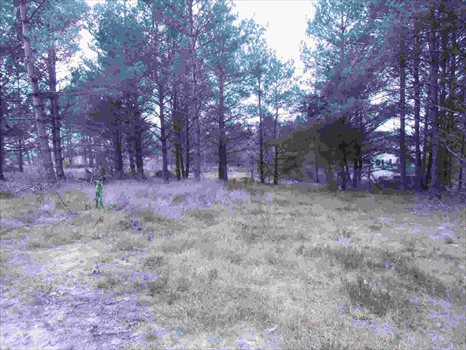 Działka budowlana na sprzedaż Kamień, Piaskowa 1 016m2 Foto 2