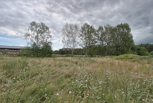 Działka budowlana na sprzedaż Brzózki 2 815m2 Foto 5