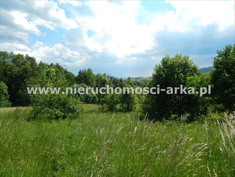 Działka budowlana na sprzedaż Kasina Wielka 1 500m2 Foto 1