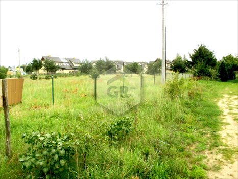 Działka budowlana na sprzedaż Bojano, Józefa Wybickiego 1 555m2 Foto 5