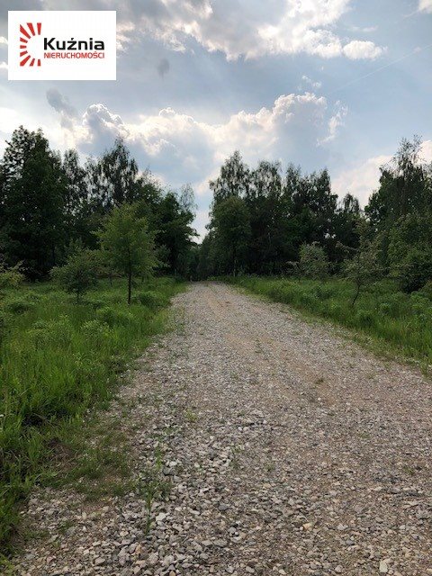 Działka budowlana na sprzedaż Osieczek 2 647m2 Foto 9