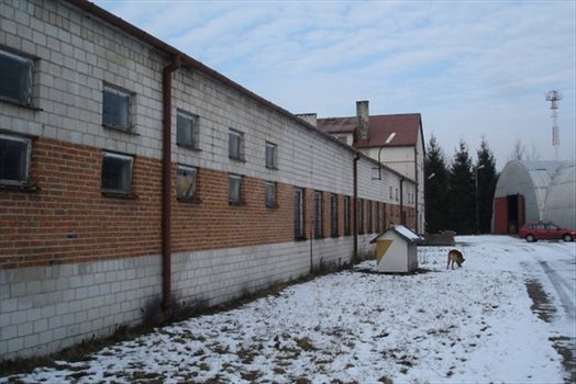 Lokal użytkowy na sprzedaż Pustelnik 1 900m2 Foto 5