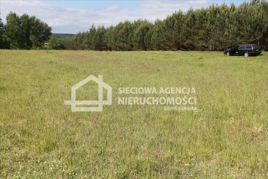 Działka budowlana na sprzedaż Lubowidz 950m2 Foto 8