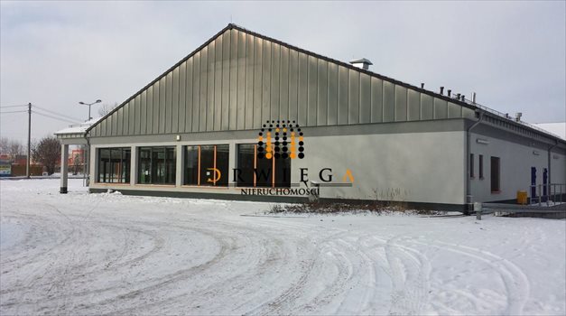 Lokal użytkowy na sprzedaż Szprotawa 1 132m2 Foto 1