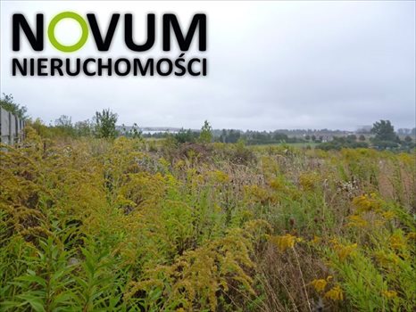 Działka budowlana na sprzedaż Tarnowskie Góry 4 000m2 Foto 1