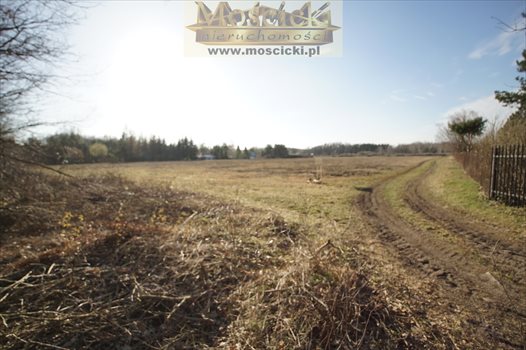 Działka budowlana na sprzedaż Nowy Prażmów 1 133m2 Foto 3