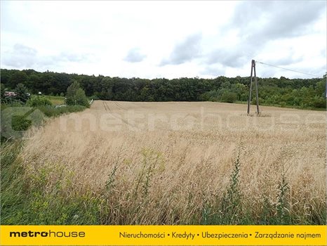 Działka inna na sprzedaż Janów, Chełm 20 269m2 Foto 4