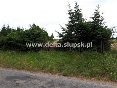 Działka budowlana na sprzedaż Izbica 1 248m2 Foto 10