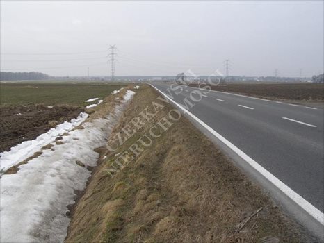 Działka inna na sprzedaż Gliwice, Brzezinka 5 591m2 Foto 3