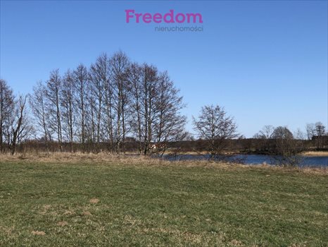 Działka inna na sprzedaż Krzywe 7 900m2 Foto 5