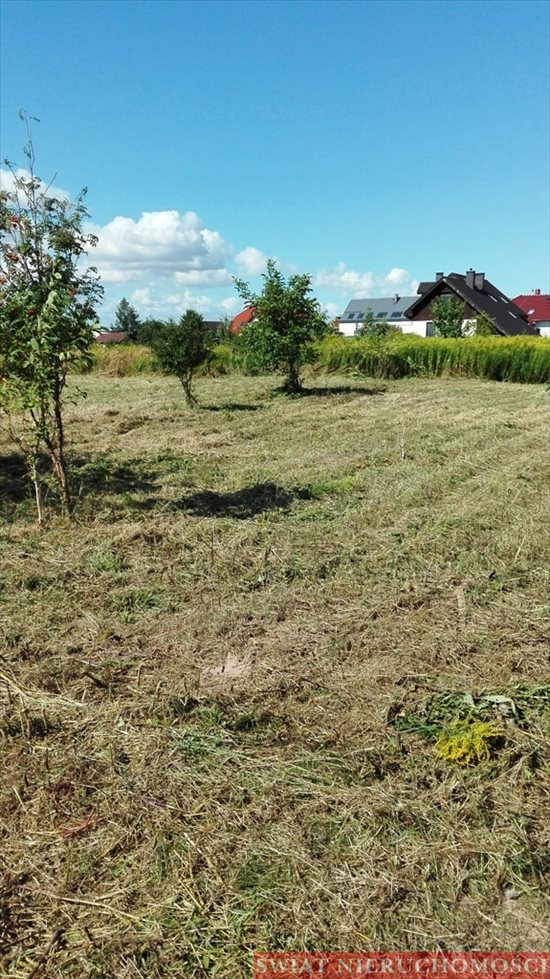 Działka budowlana na sprzedaż Rogów Sobócki, Szkolna 1 383m2 Foto 3