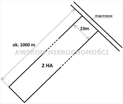 Działka budowlana na sprzedaż Skierniewice, Sierakowice Prawe 20 000m2 Foto 1