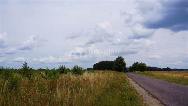 Działka rolna na sprzedaż Grzybowo 21 116m2 Foto 5