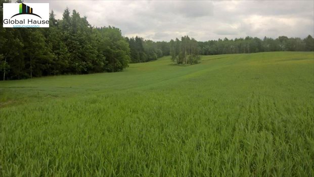 Działka rolna na sprzedaż Nowe Krzywe 3 080m2 Foto 8