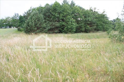 Działka budowlana na sprzedaż Sitno 3 664m2 Foto 4