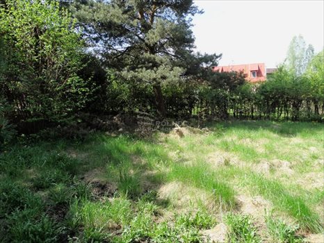 Działka budowlana na sprzedaż Łapino Kartuskie 734m2 Foto 7