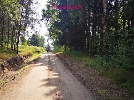 Działka budowlana na sprzedaż Orzechowo 24 300m2 Foto 4