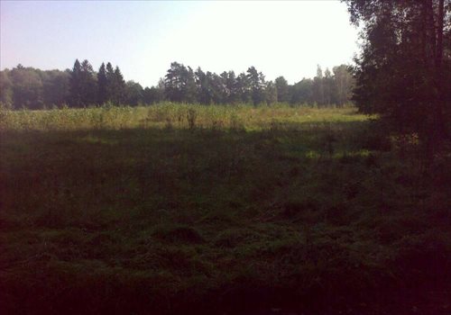 Działka siedliskowa na sprzedaż Rybical 40 936m2 Foto 4